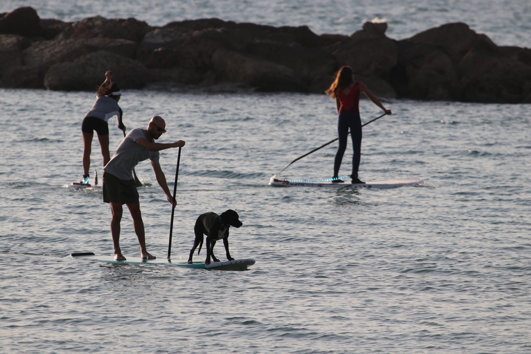 Paddleboarding